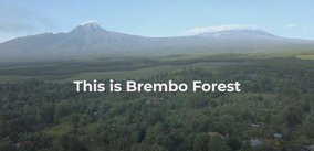Brembo plants a Forest of 14,000 Trees