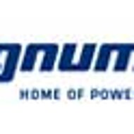 Tognum researches engines of the  future at SKL