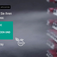 Wollin: Ergebnisse einer Fallstudie