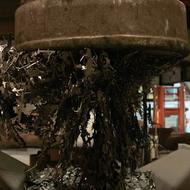 NACHHALTIGKEIT IST DIE ZUKUNFT