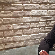 The Swing in the Automotive Industry requires new Thinking and a wider Choice of Technologies