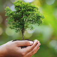 SBTi validates Norican’s near-term and net-zero targets