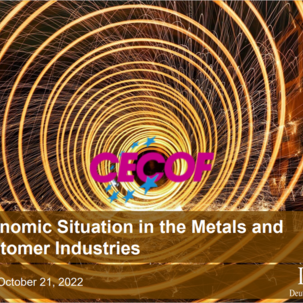 The Economic Situation in the Metals and Customer Industry
