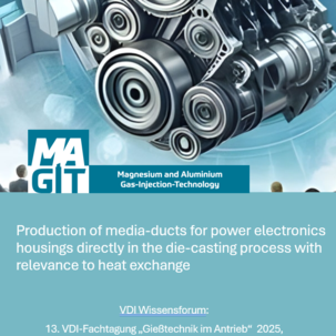 Focus on gas injection presented at the VDI symposium "Casting Technology in Drive Systems"
