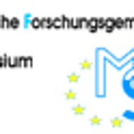 17. Magnesium User- und Automotive Seminar 2009 