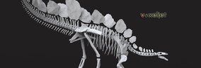 Laser scanning and 3D printing - The Natural History Museum’s new Stegosaurus 
