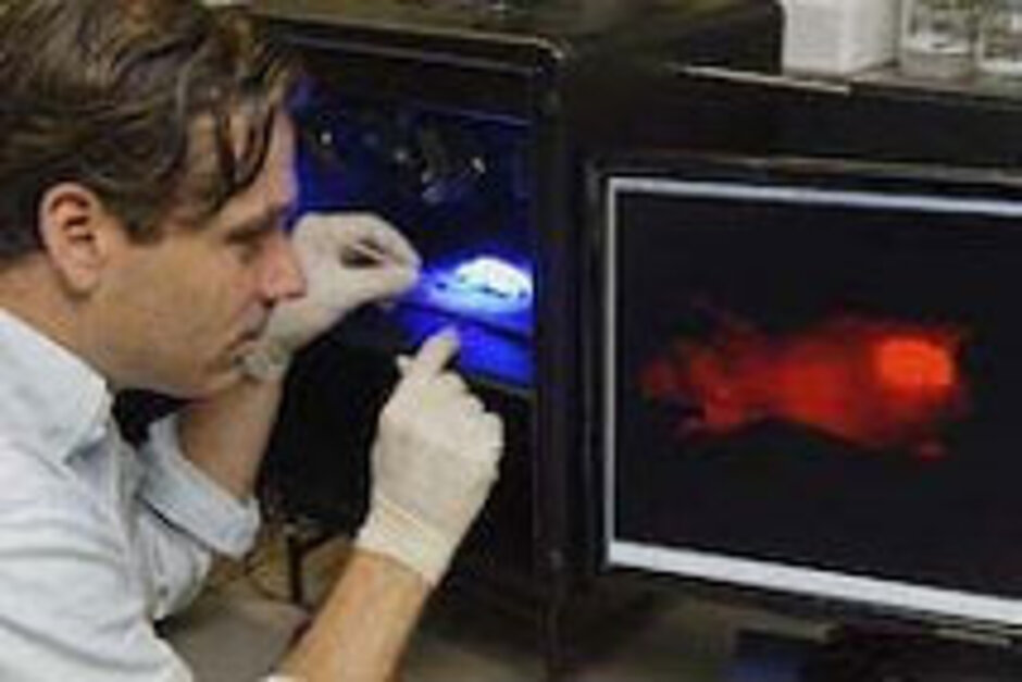 © Peter Winandy RWTH Aachen researcher Twan Lammers is developing methods to depict tumor growth with nanoagents, which makes physical interventions, such as cuts, no longer necessary.