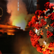 COVID-19 Global Industry Analysis