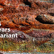 Better with Bentonite