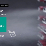 Wollin: results of a case study