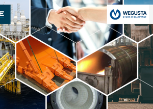 ELCEE STRENGTHENS INDUSTRIAL SOLUTIONS PORTFOLIO WITH ACQUISITION OF WEGUSTA AND STEECO
