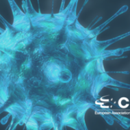 CLEPA: Automotive suppliers raise red flag over border closures and intensified inspections 