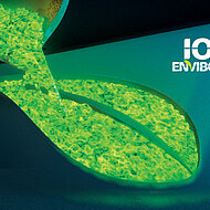 Imerys presents innovative Green Moulding Sand Additives at Metal China 2018