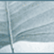 EUROGUSS 2012: The die casting industry’s get-together in Nürnberg