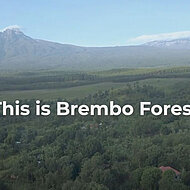 Brembo plants a Forest of 14,000 Trees