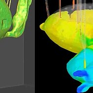 Da Vinci Honored at GIFA