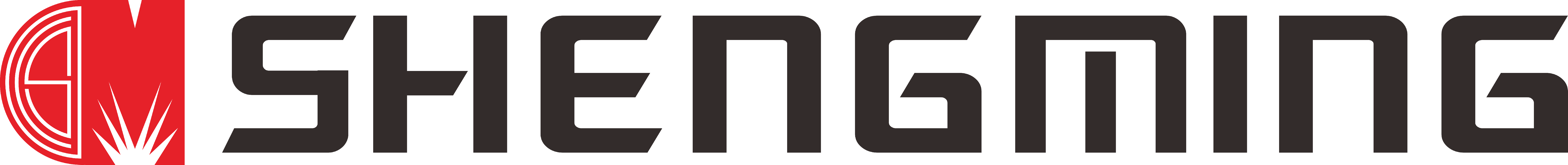 Shanghai Shengming Photoelectricity Technology Co., Ltd.