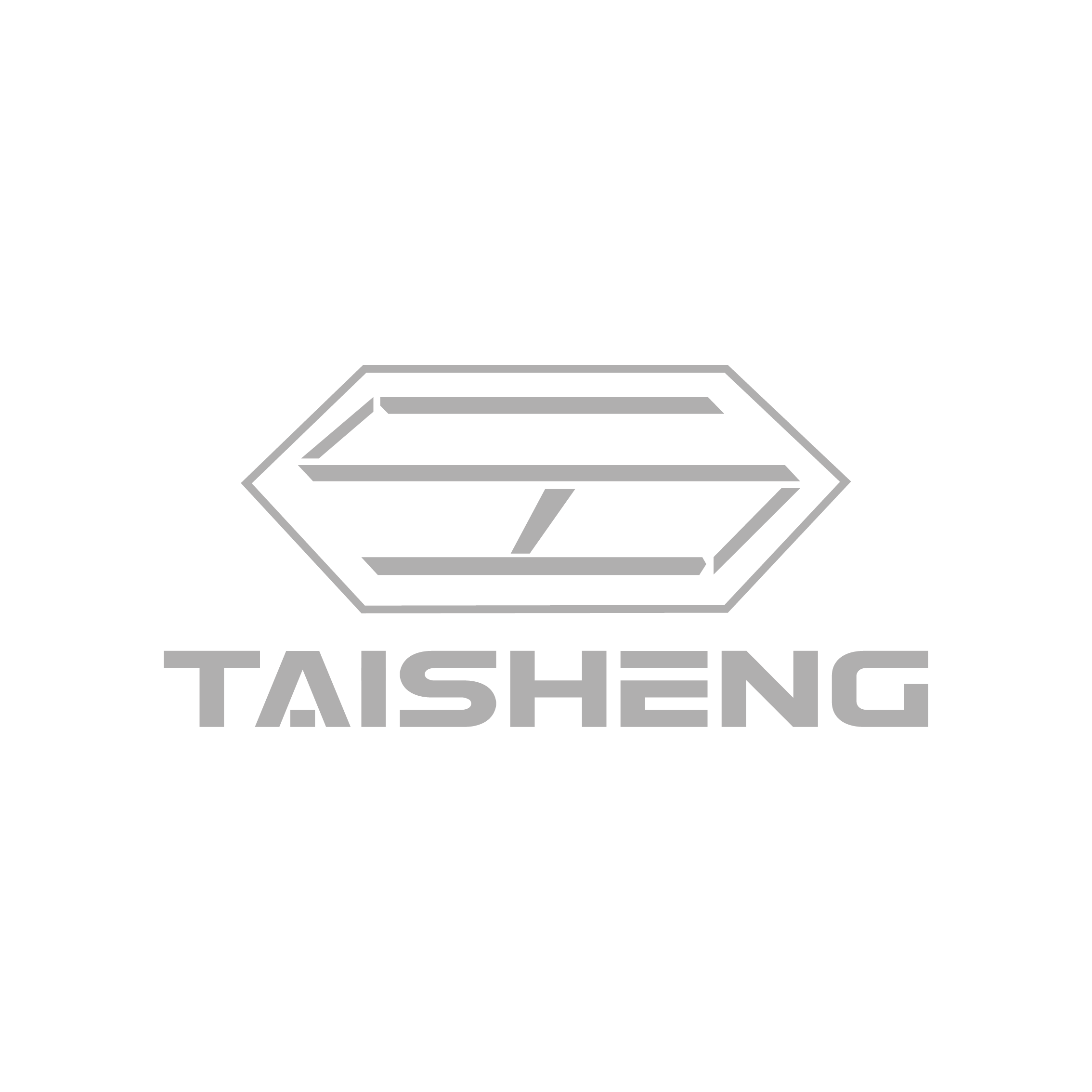 Taisheng New Material Technology Co., Ltd.