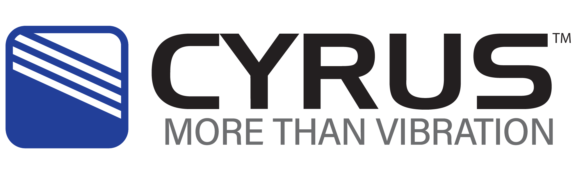 CYRUS Schwingtechnik