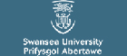 University of Wales - Swansea Casting Group